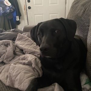 Meet your Posher, Whitney